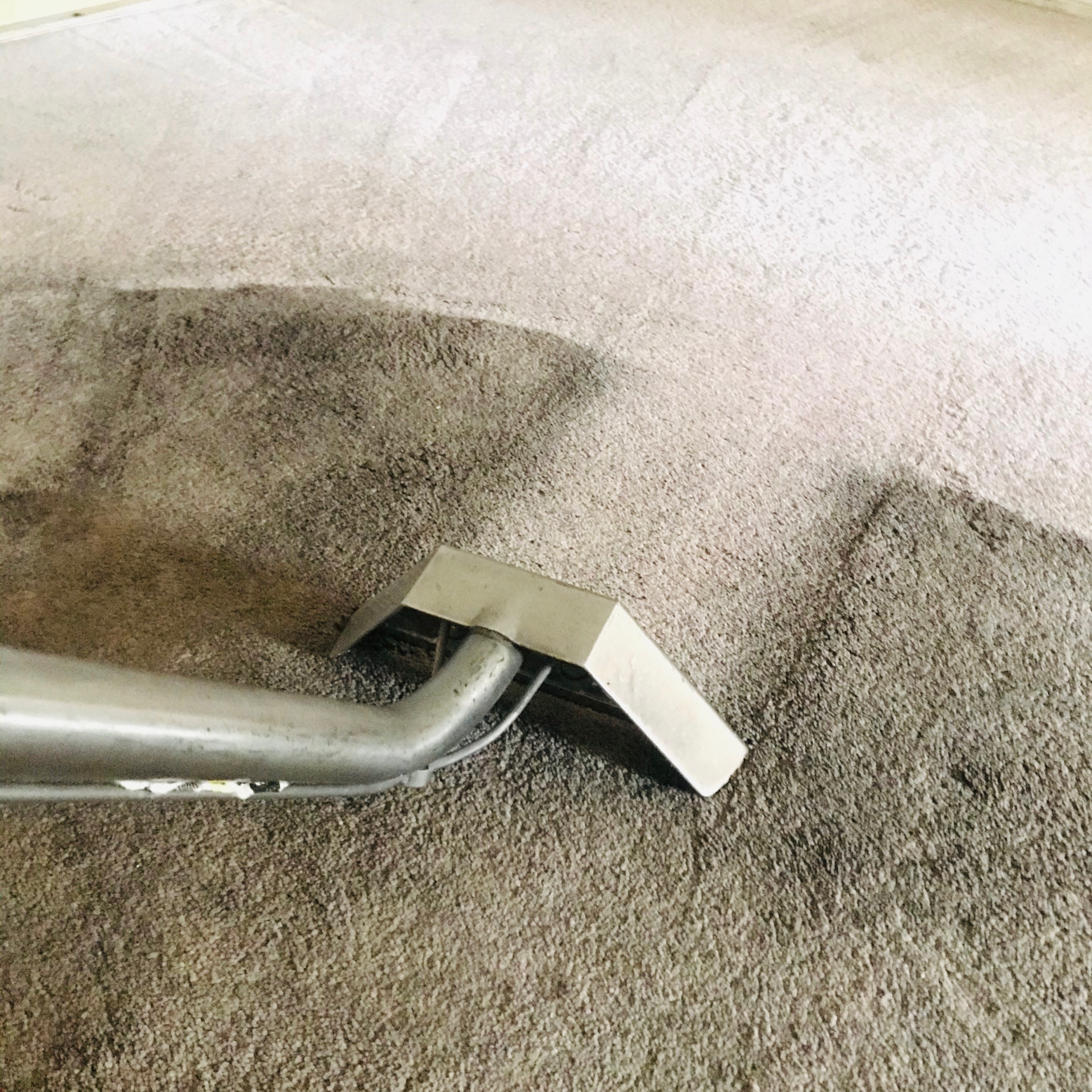 Professional carpet cleaning service in Miami using deep steam extraction by Fresh Steam Corp
